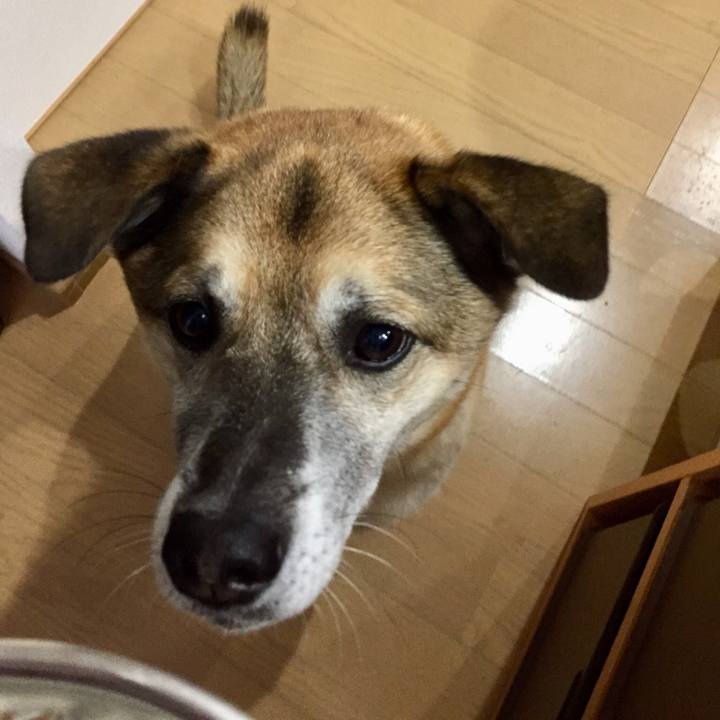 4d2f3447 b98a 4776 bc3d f53cb3a15e70 1543807511910