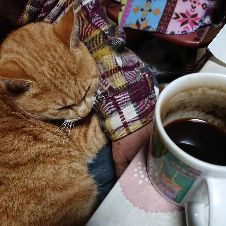 4d2f3b5f 93cf 4e0c 8e34 0340cac2ba1c 1576359647446