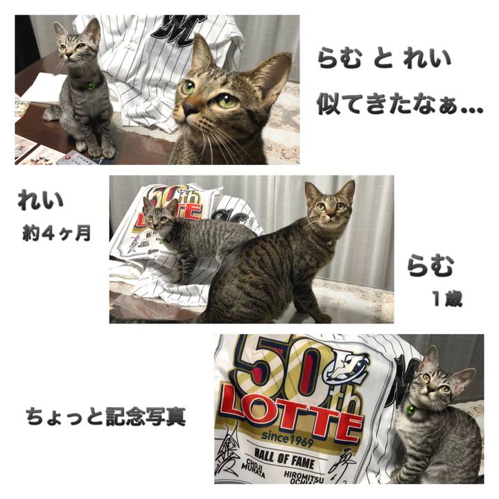 4d2f56b7 c672 44fc 8636 49a927b54bd7 1534863069803