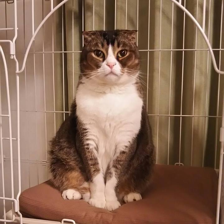 4d2f67c2 57d2 4571 a2e3 27eed67ecc55 1521776787214