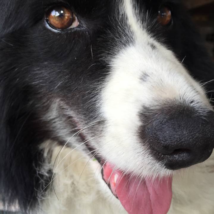 4d2f6906 b2d9 40b5 b07c d6f1919aadc2 1532563038818