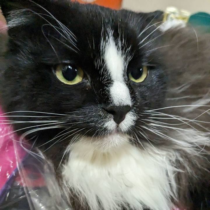 4d2f8ac1 8bda 49f4 a781 ef325ebc4ef9 1691718159916