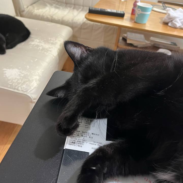 4d2fd738 08d7 4caf bb0a a5e636e8d18f 1657590988282