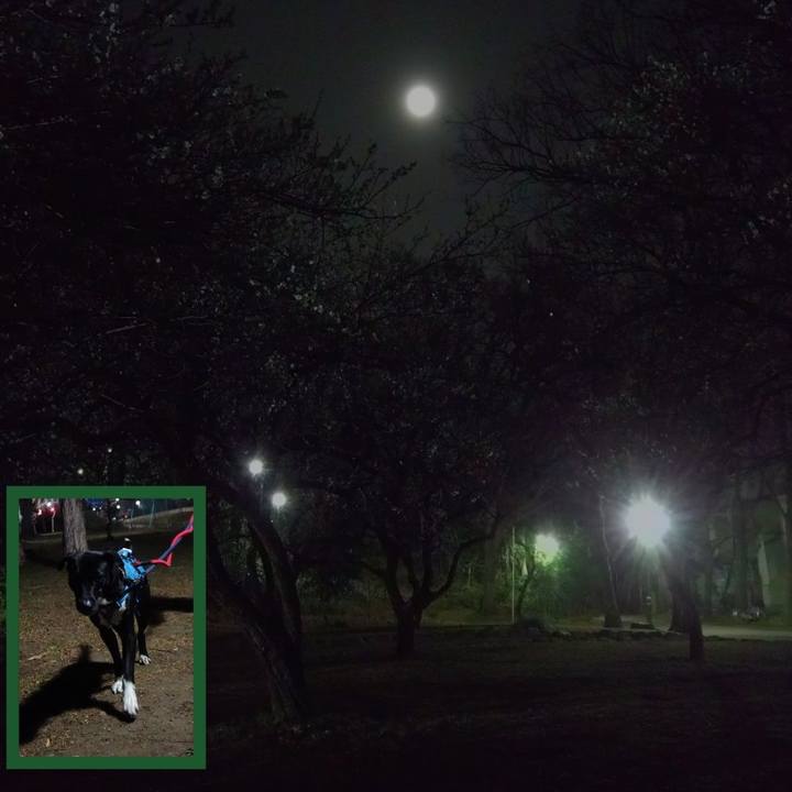 4d2fe185 1cf3 440f 94dc 92b57a895fc5 1614337717513