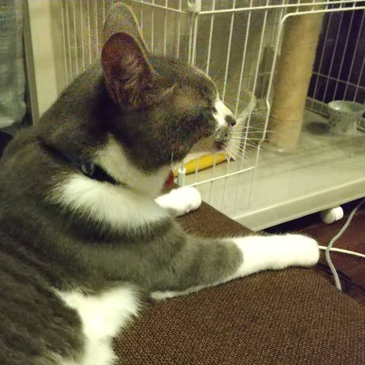 4d2fe733 b851 439b 872d f203facd7312 1596724849938