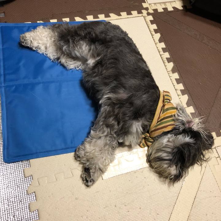 4d2fec7c 114b 45db 8ce0 499723d3de09 1532009007784