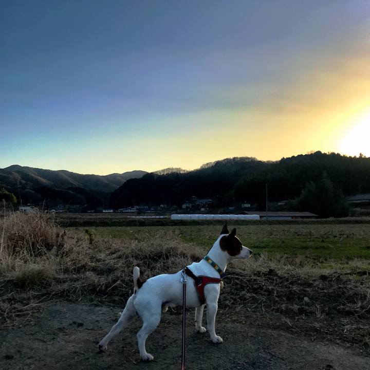 4d3024e5 3f59 47ec bddd 7ac954c703f6 1514890942559