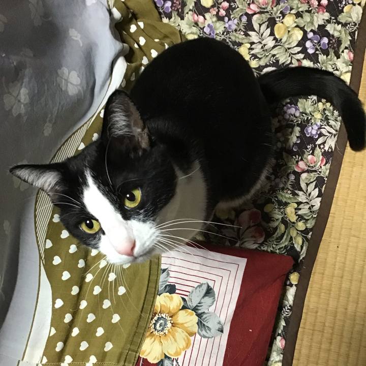 4d302de7 65b5 48db b475 a81463ee11b5 1678877509055