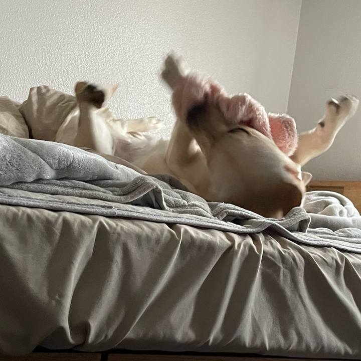 4d309ceb 1bf1 41a3 b806 8fdd5d759d94 1641268195483