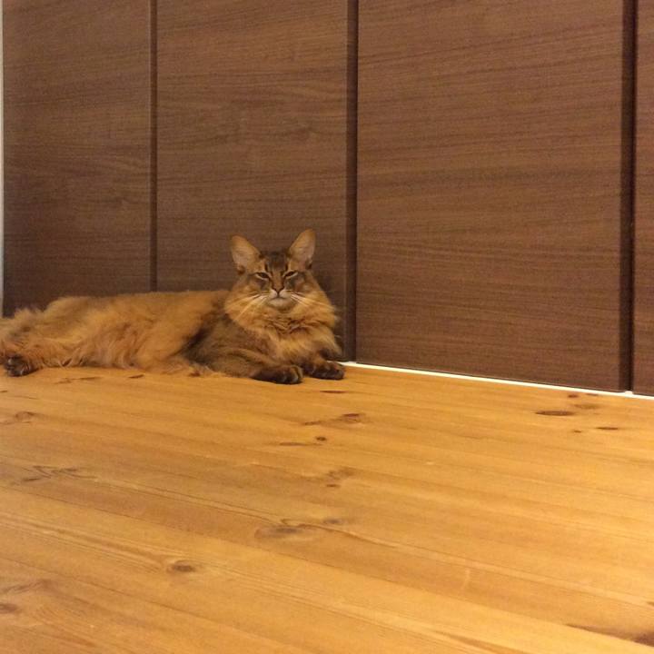 4d30c07e 8790 4ea4 8c93 ef852ac87e38 1604398305676