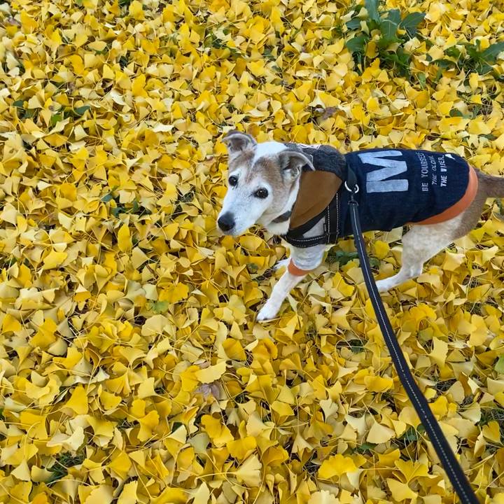 4d30c14c d279 4980 a750 bed6fd055d82 1637642606596