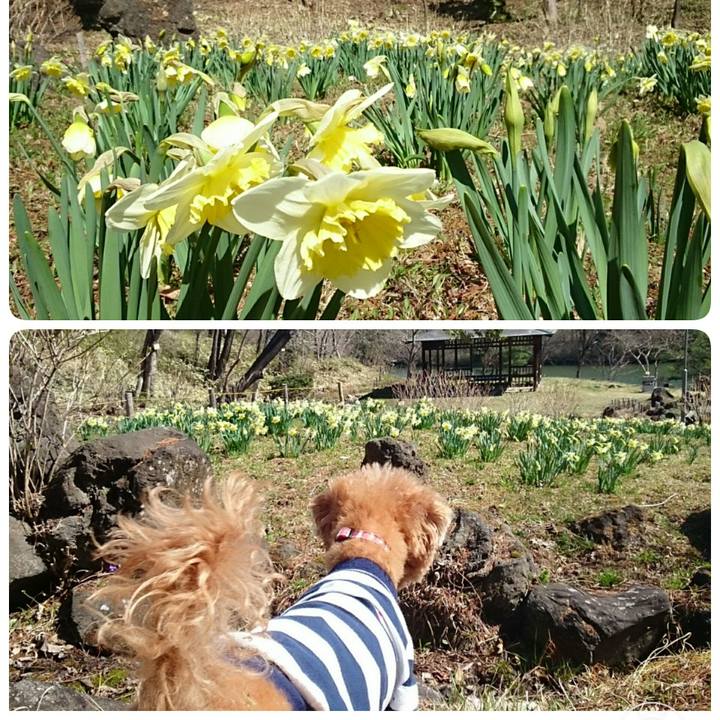 4d30d2da 1482 414b 8eac beaca2d18cb5 1522446252258