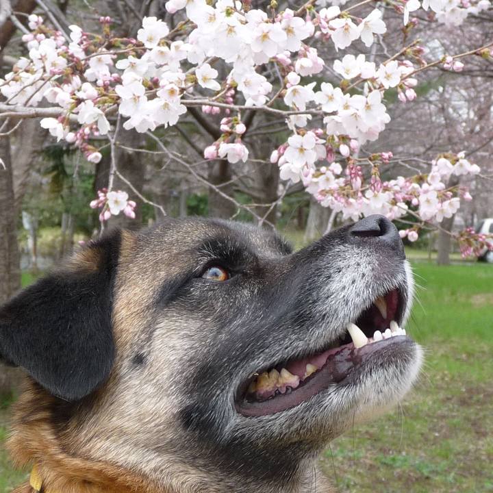 4d30e09f 3b5a 436f 9b9a 323e4ea7d16d 1648946263463