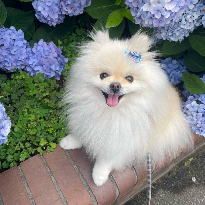 4d30e3a4 8fb8 4558 8c55 ca93d0a62caf 1686350253845