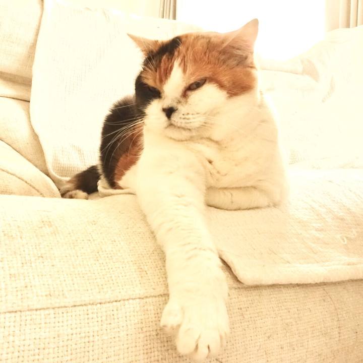 4d30e593 3f76 4159 b795 9537cf4b3b80 1546399791013