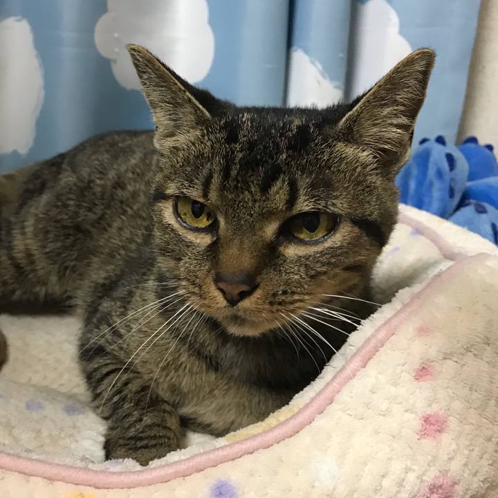 4d315edb 75df 4875 815d f86ad725a2be 1542879036584