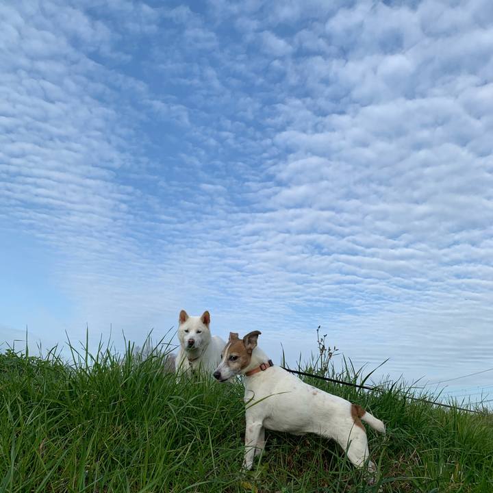 4d31c56a 00c2 4e8e b8dd dcde4a2b5b86 1579915511501