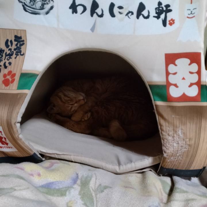 4d31deb9 ebe6 4a11 b0b4 1463465a0a3c 1676468350204