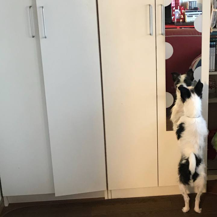 4d31e9c3 53c0 4f6e beac f54b0ad279c9 1526140278023