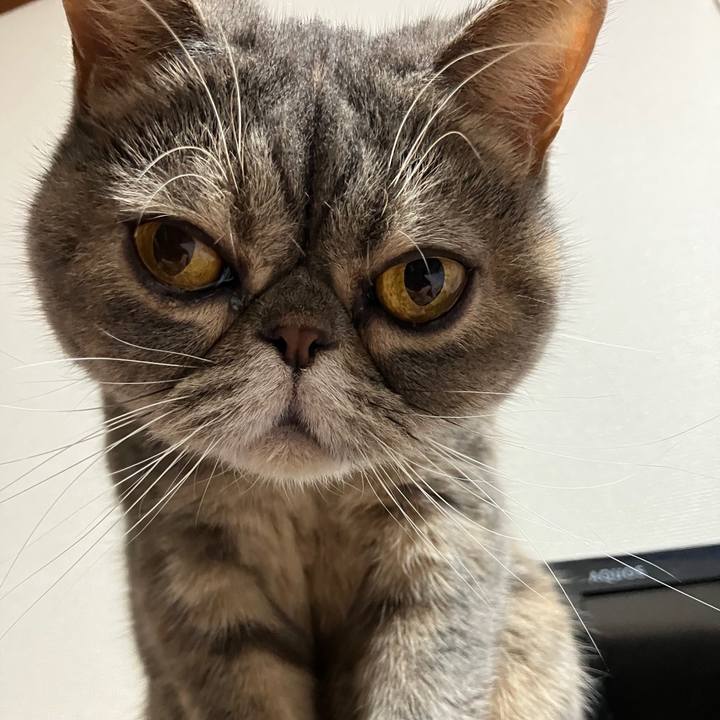 4d3208b0 8632 4704 a9b0 434b693f0dec 1764425006298