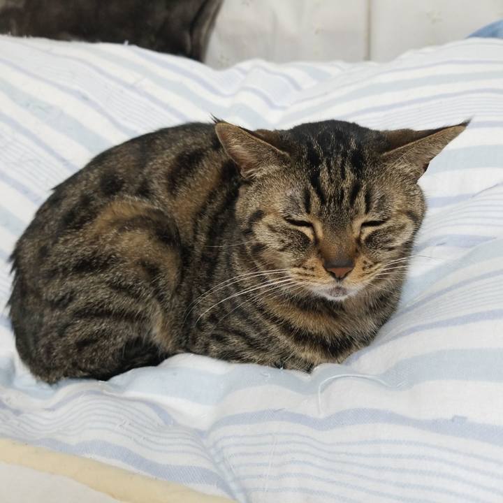 4d32e17e 200c 41da 8785 7084cc8565e6 1588886503548