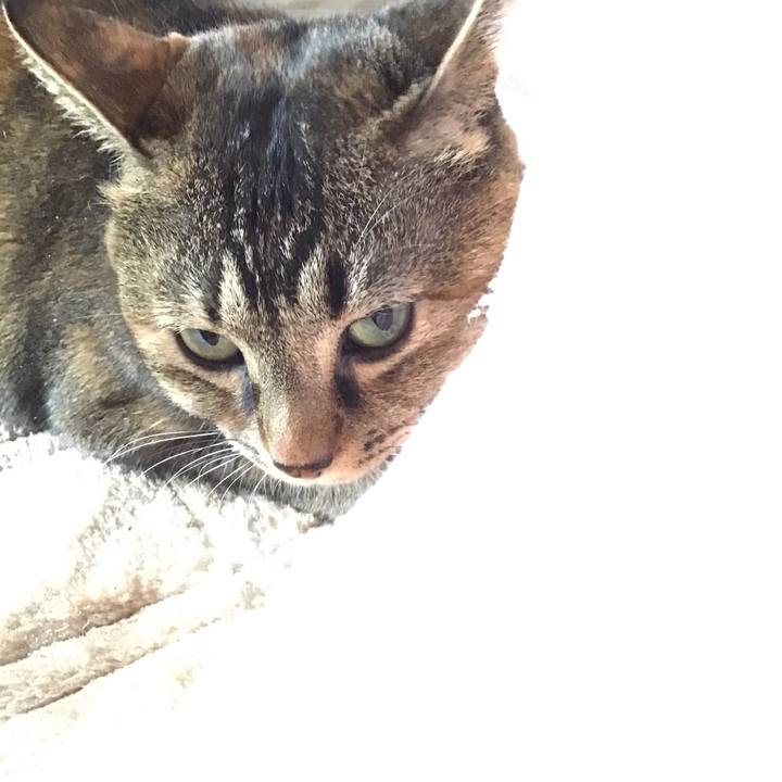 4d3329af 8ae6 456e 9aca 92e6feba6bad 1670200604384