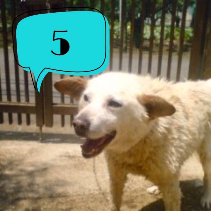 4d332d6d 0466 4833 a768 cb55e0e692ff 1556208637581