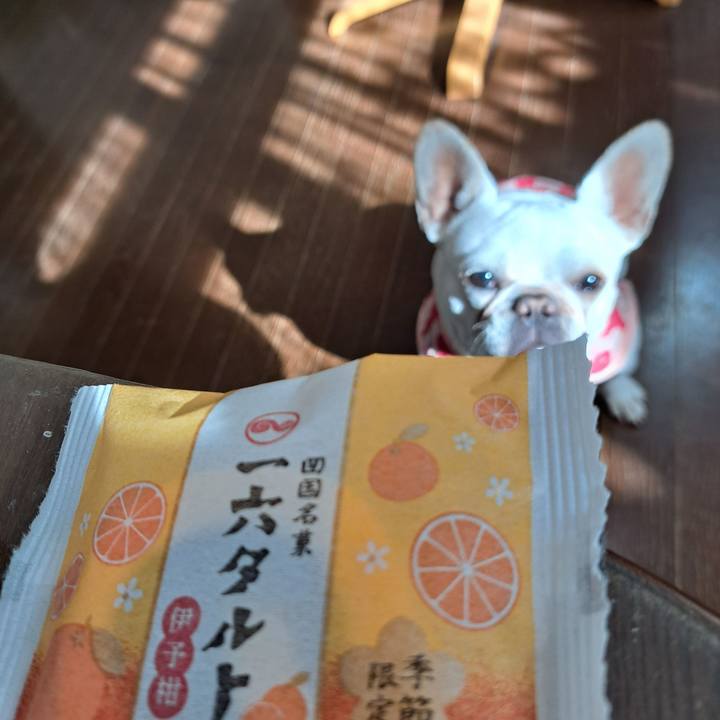 4d335d39 04ed 492d bbe9 c76b4f88f281 1701420689530