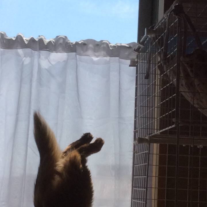 4d33883a 3af2 405f 9608 63a8f681099b 1616556409271