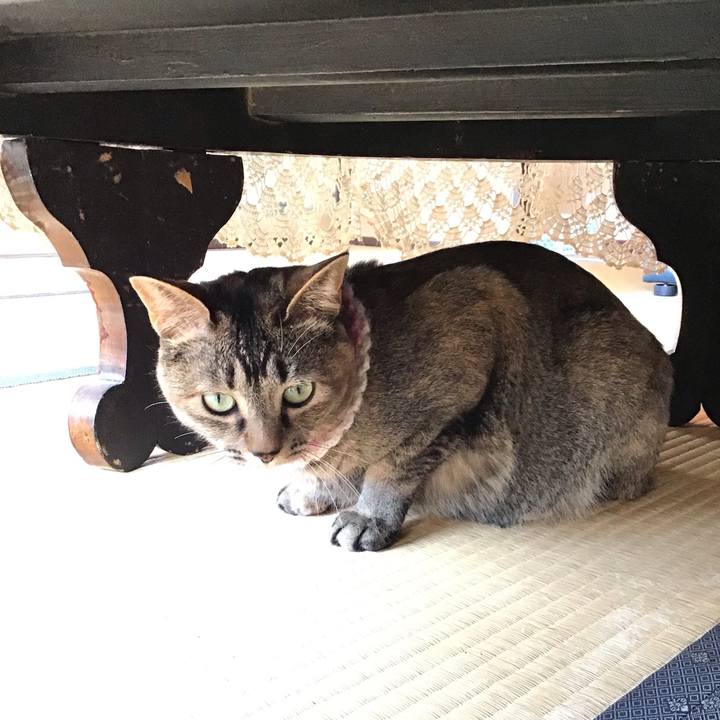 4d33889c 644d 4778 8753 f278c22b6405 1621735747558