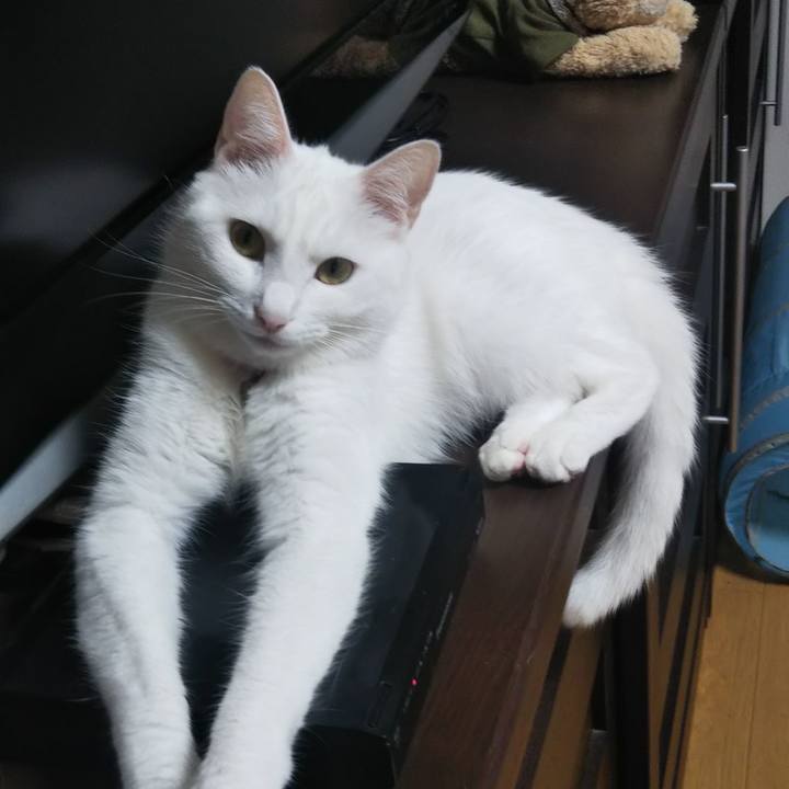 4d3397f1 531f 40bf a7f2 5bbe87f403f9 1625260420604