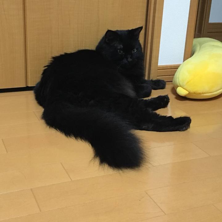 4d3399cc 596a 4d06 9a34 d06c051f945b 1536350986938