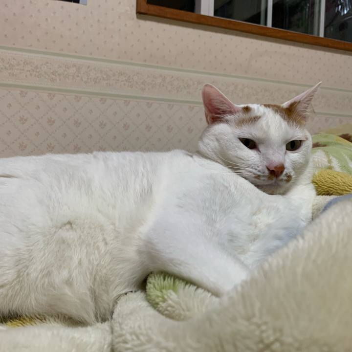 4d33c3c7 81c2 4916 a0e6 827b97c989b3 1622979523007