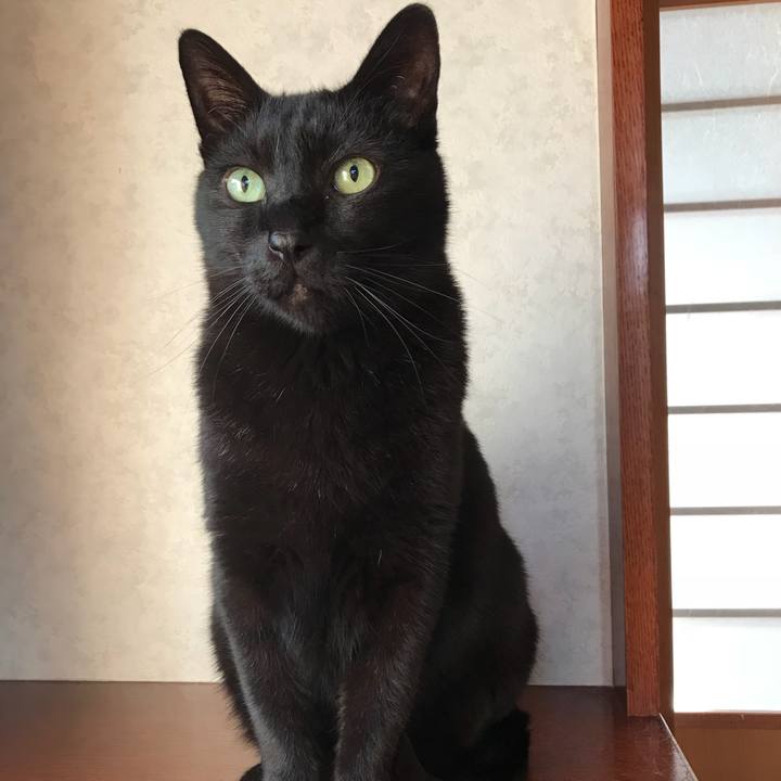 4d33dffc 6678 44d2 a6be 057c1cbc624f 1522112243029