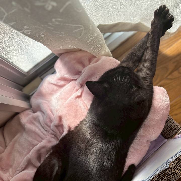 4d33f168 d62c 43b5 84f4 54eb532bbdee 1763250031696