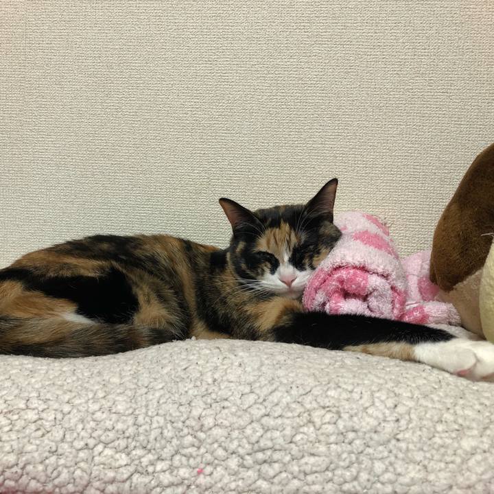 4d33fc82 8f3b 462b be34 948e1a791575 1583426362464