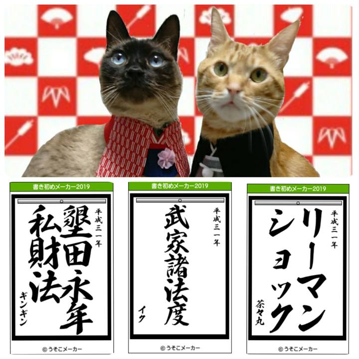 4d3411a9 0ff7 496c b619 11b659344709 1546411282349