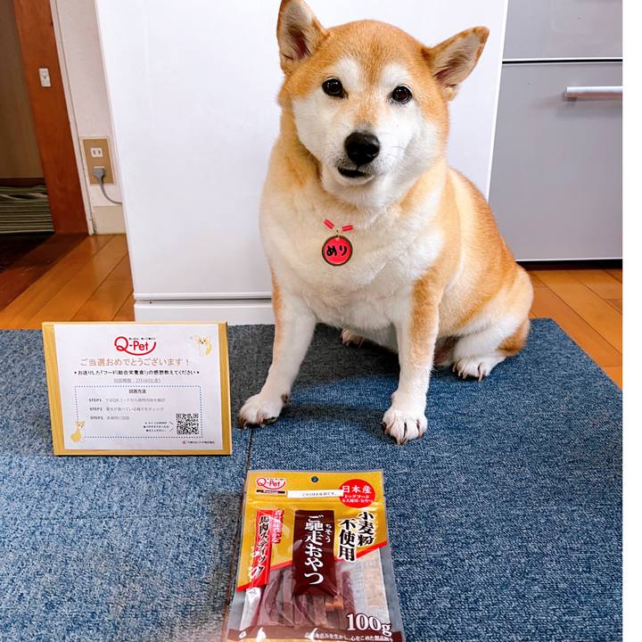 4d34329c 86ba 49c3 b7a8 555403373eb8 1707624952861