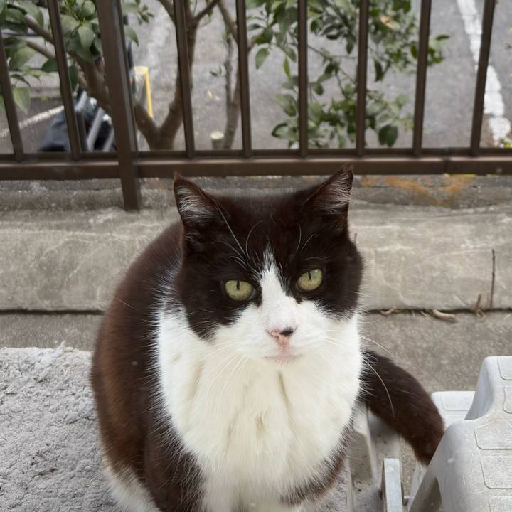 4d345360 9103 4e5d 8cb8 27e379e56800 1774774225666