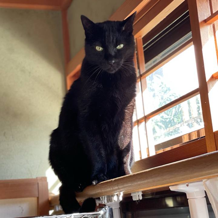 4d345471 cf88 4c55 bb7d 21597c5d9f0f 1608170346145