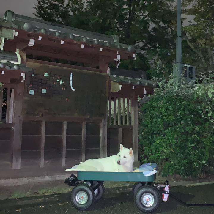 4d346b76 f1df 453e 8f5b 1242db5a791a 1570540149412