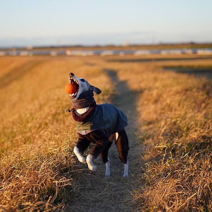 4d346be6 30e2 4359 b7b9 5f7ca4dbae34 1547551481782