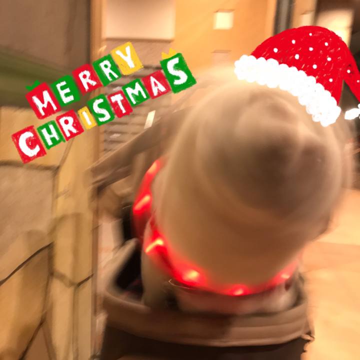 4d346d6d 29e0 45b6 9609 650bc9eaa51d 1514201687276