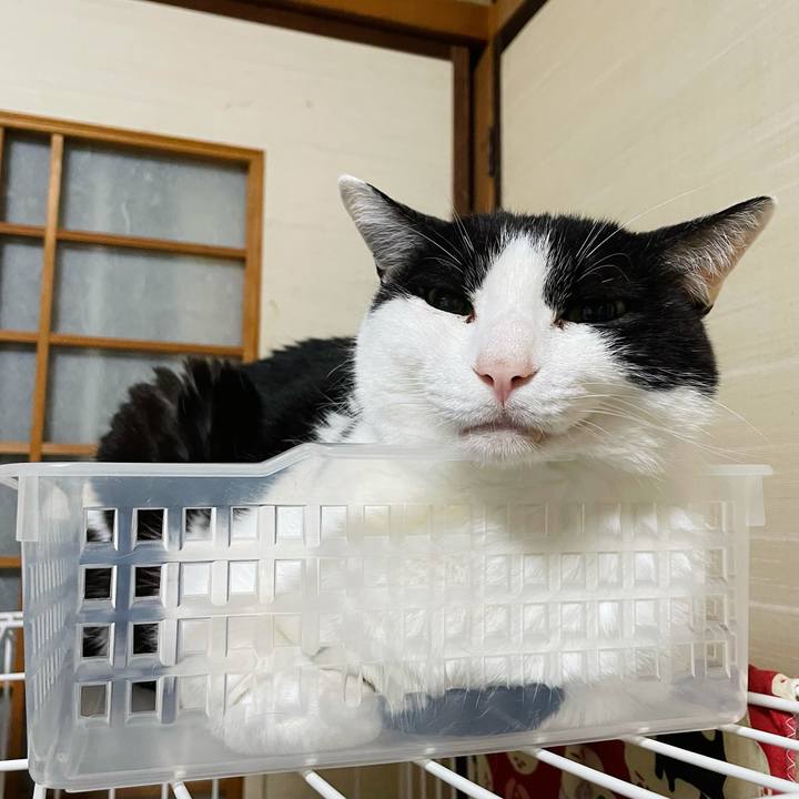 4d347991 cd79 45f1 9938 0e68bed90cf4 1625796639668