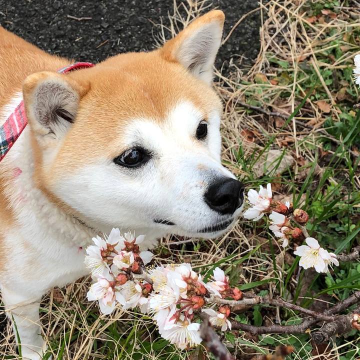 4d348100 515b 4fe6 9fed c758535a9b03 1582938900015