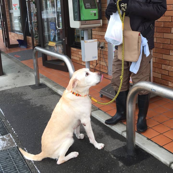 4d34d030 ef83 4afe bf41 8d70217d9d9f 1548211756186