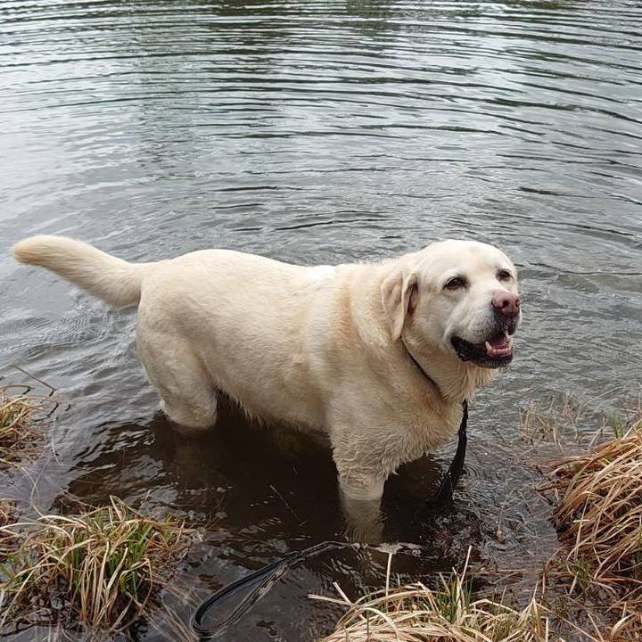 4d34d9f9 43a5 434b 89cd f8f823b41fd0 1747106789497