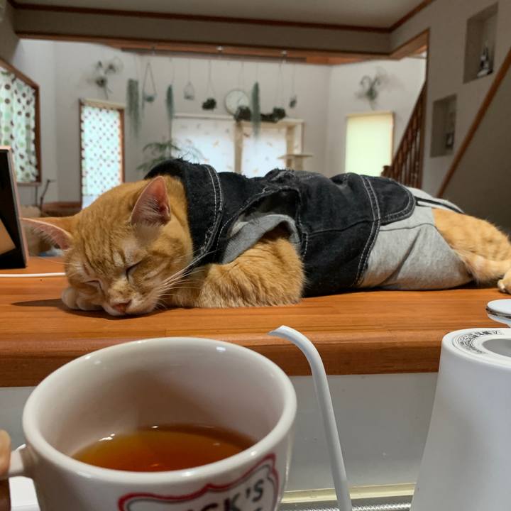 4d34ddb0 1e08 42fb 9678 41a95f92a4cc 1658524072100