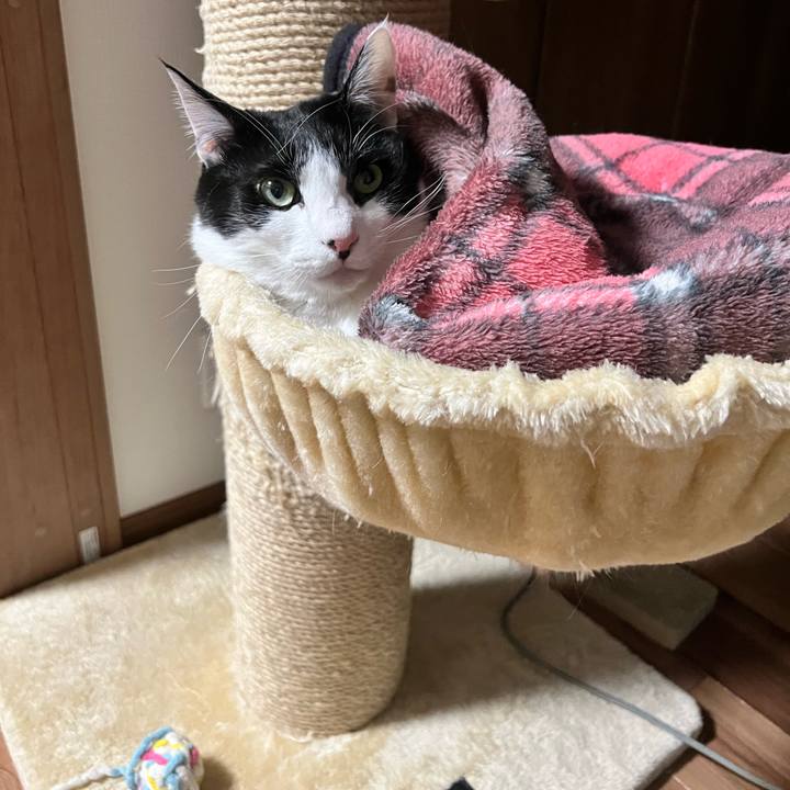 4d352273 c06b 4a2a 99af fcb99c2db7ac 1707121116356