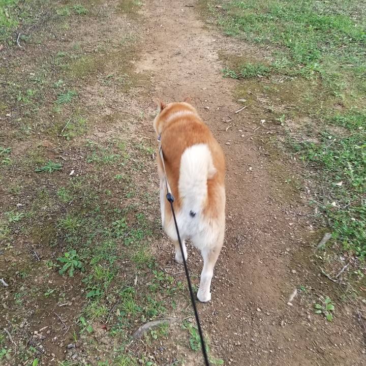 4d3539ed c3e2 4182 9297 f4512ed4568e 1717835983234